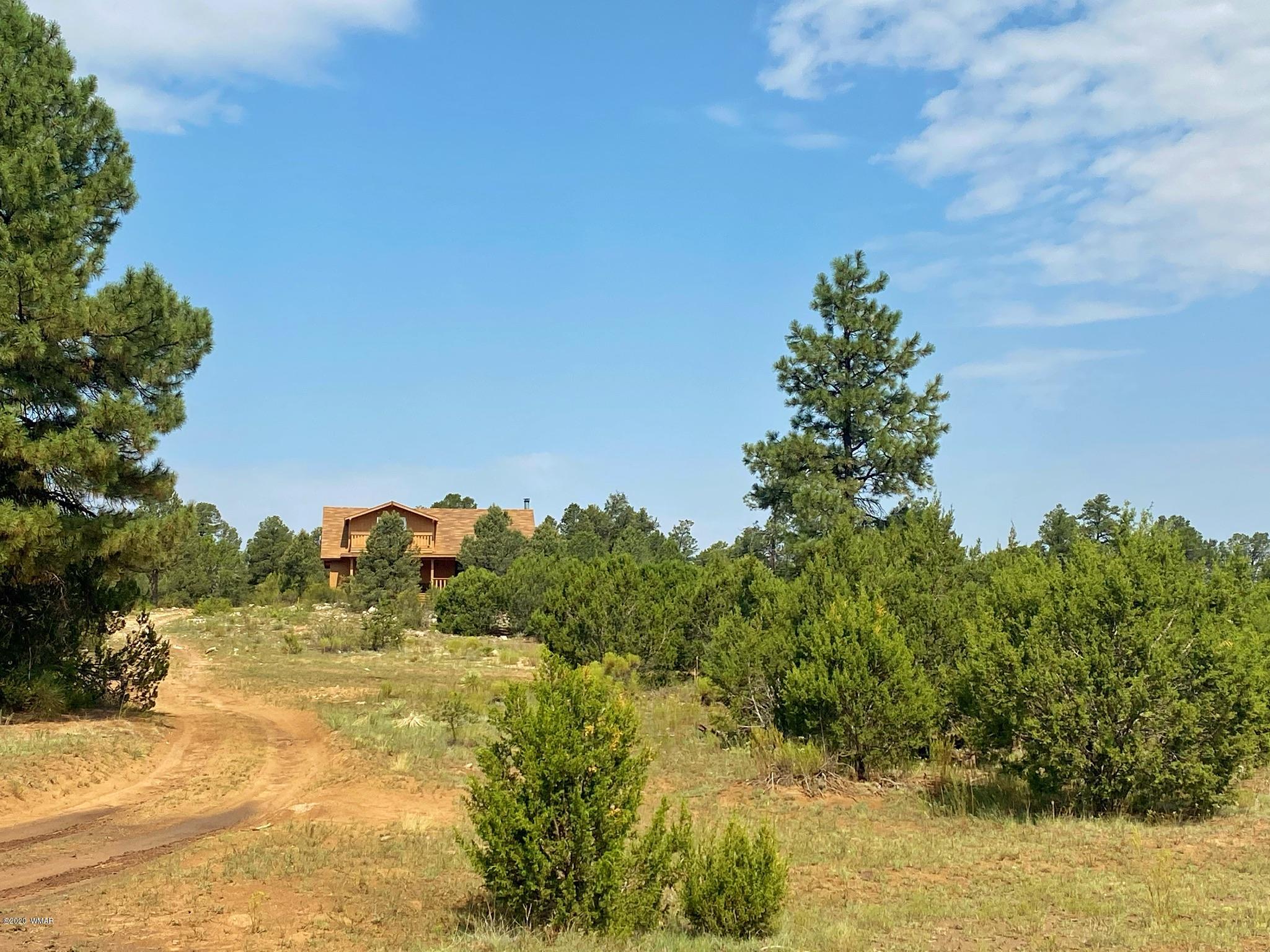 3170 Aspen Road Overgaard, AZ 85933 - Photo 8 of 37 a view of a yard with a tree