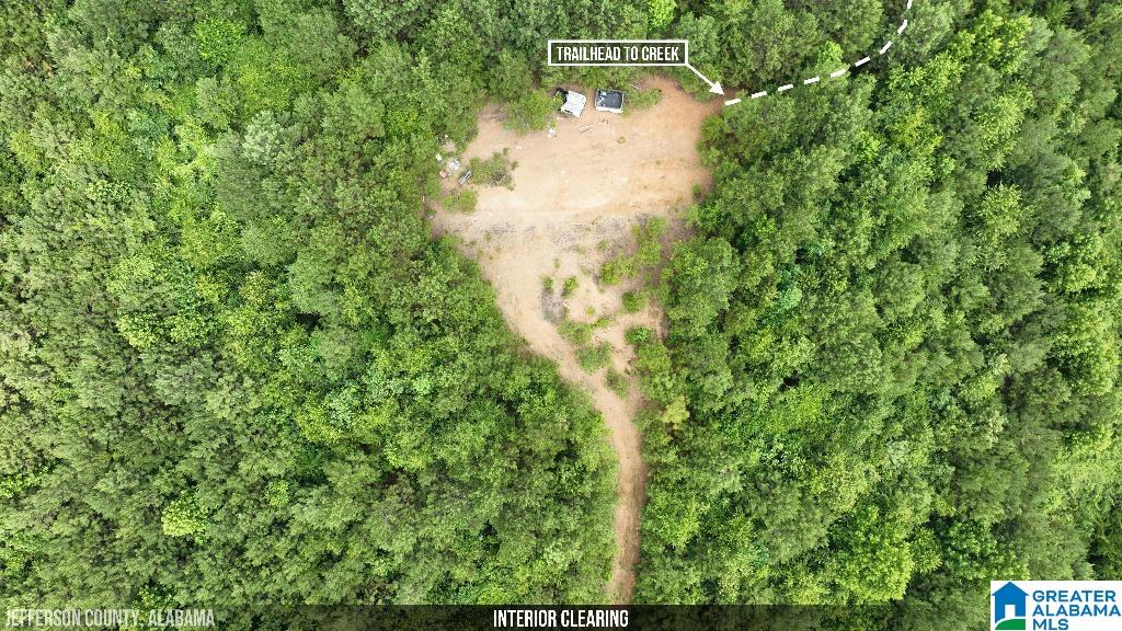 9289 Johns Road Brookwood, AL 35444 - Photo 25 of 38