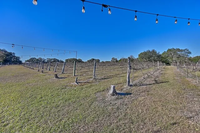 a view of a tennis court