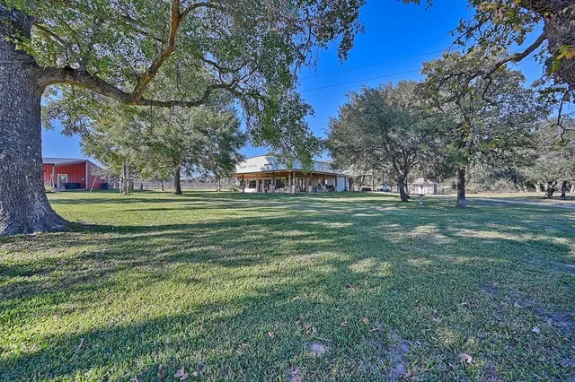 a view of a park with large trees