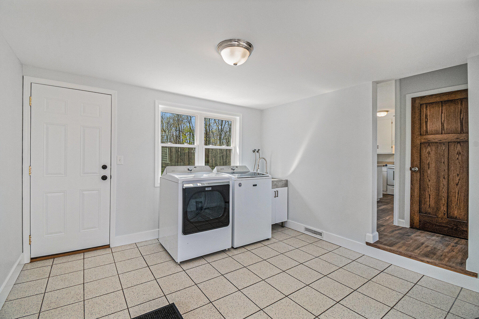 4406 Green Road Lyons, MI 48851 - Photo 9 of 18 009__ndp2649_980