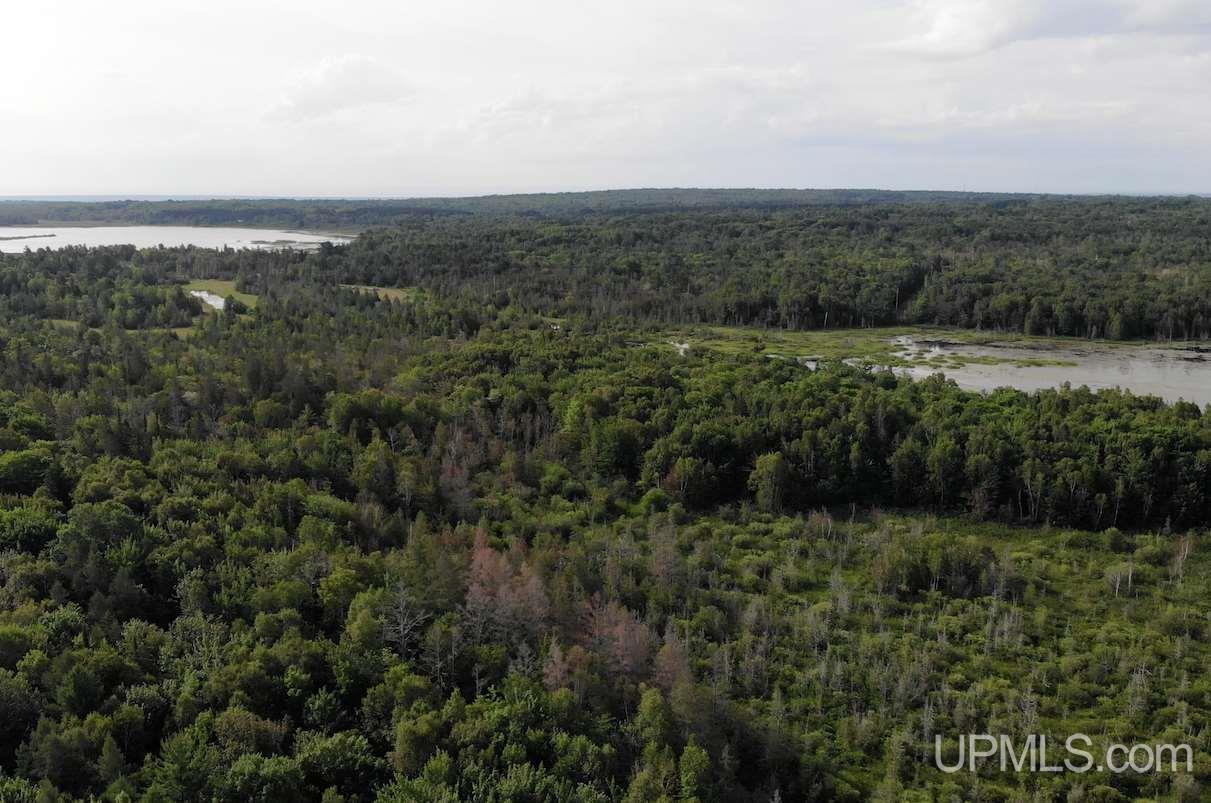 Tbd Off Boston Crosscut Road Calumet, MI 49930 - Photo 3 of 23