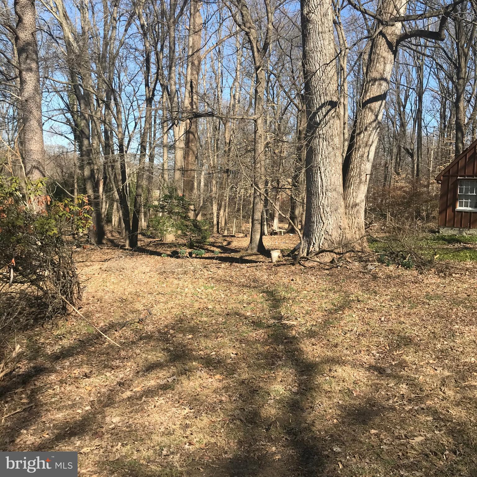 2909 Norbeck Road Silver Spring, MD 20906 - Photo 6 of 8 Gallery Image 6