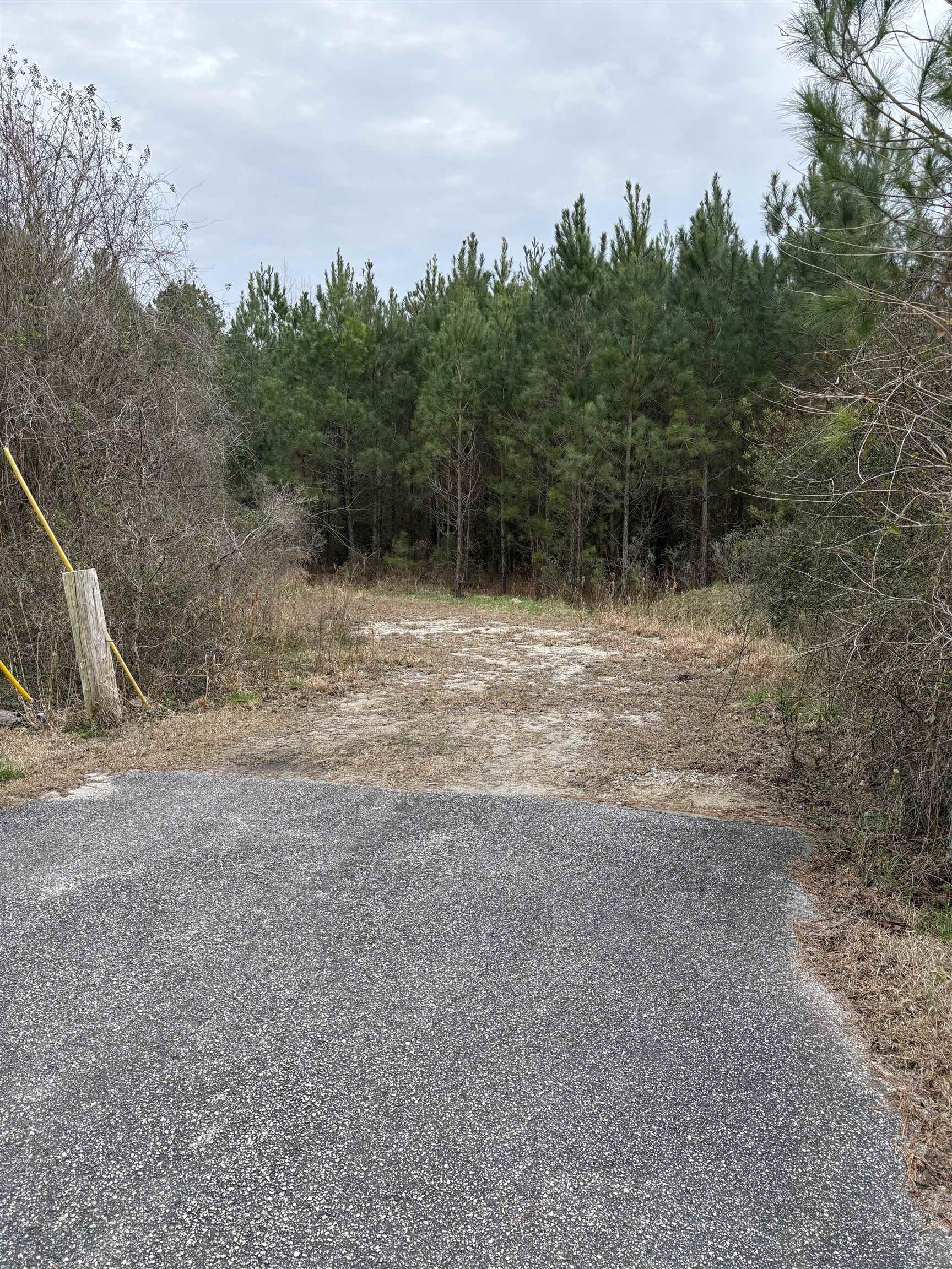 Tbd Turkey Pen Road Longs, SC 29568 - Photo 3 of 7