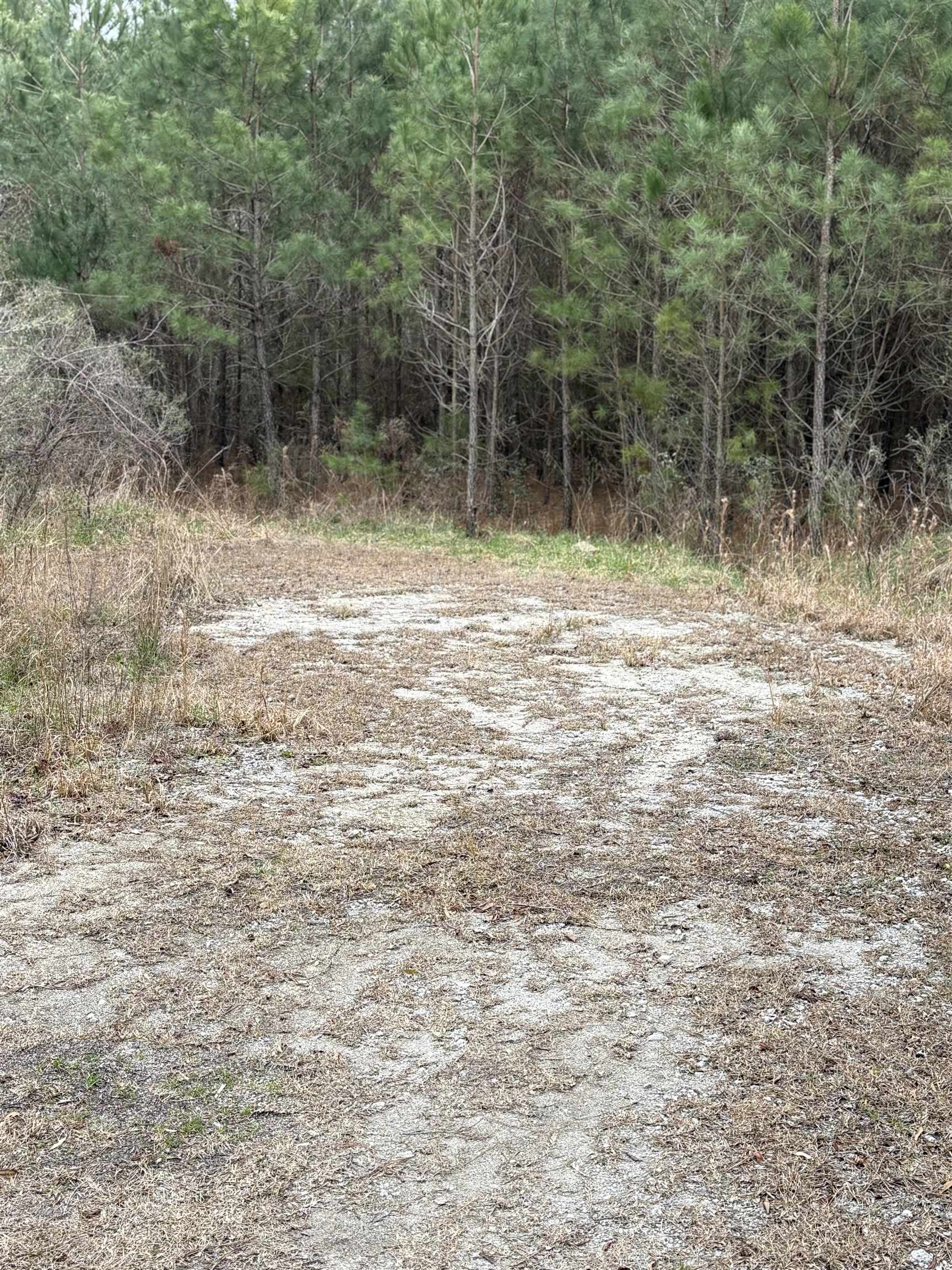 Tbd Turkey Pen Road Longs, SC 29568 - Photo 4 of 7