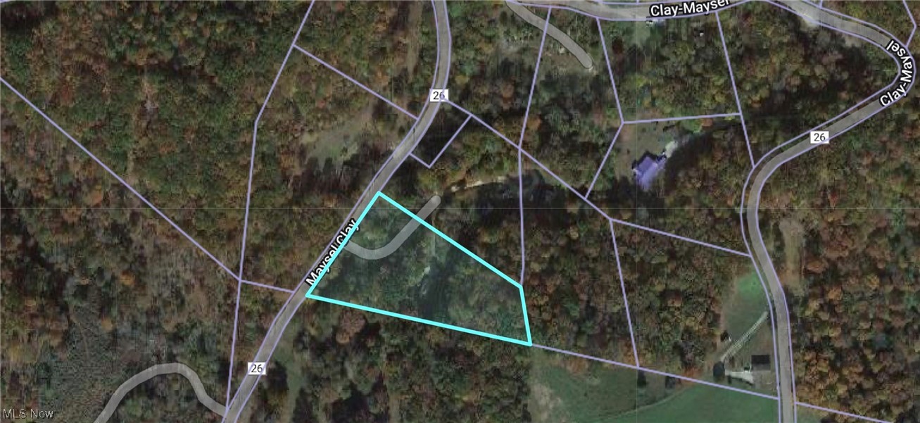 649 Blue Knob Road Maysel, WV 25133 - Photo 2 of 15 Map