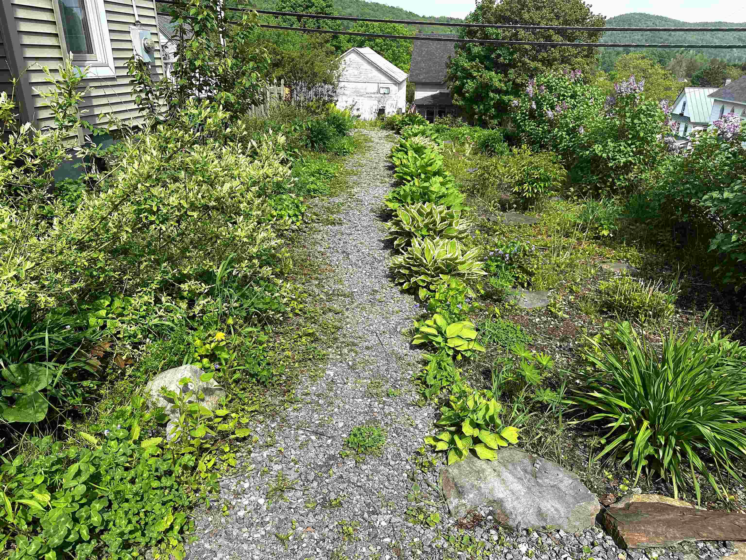 28 Upper Cherry Street Hardwick, VT 05843 - Photo 9 of 44