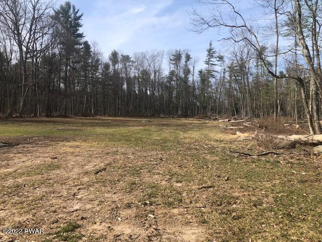119 Spring Road Hawley, PA 18428 - Photo 29 of 31 Back Yard
