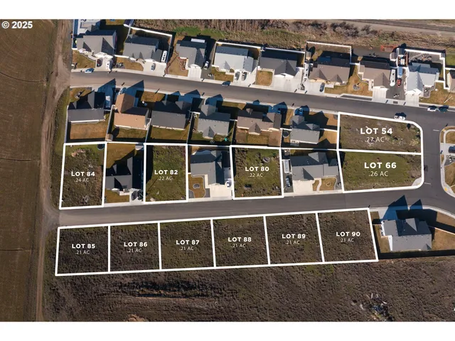 a black and white building with windows