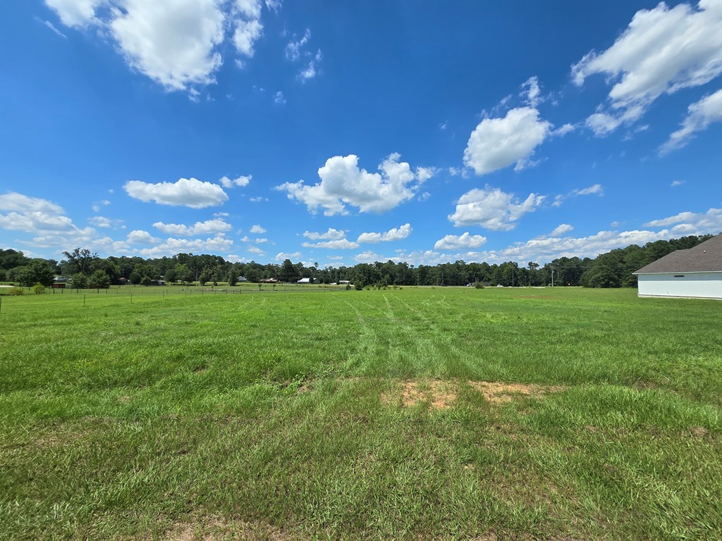 1.43-acres Sage Road Ashford, AL 36312 - Photo 8 of 9