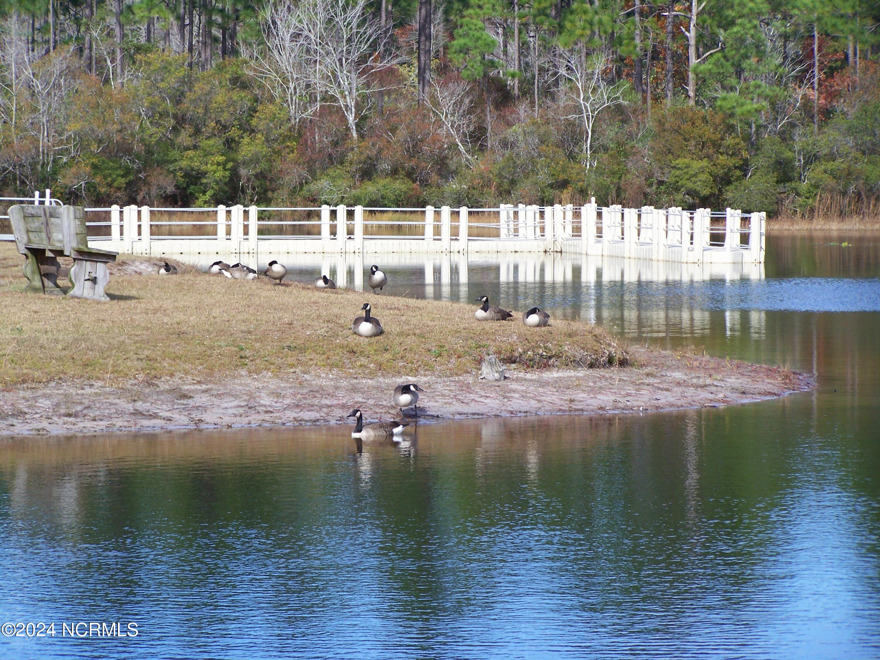 36 North Lake Drive Boiling Spring Lakes, NC 28461 - Photo 53 of 55 SPRING LAKE FISHING DOCK
