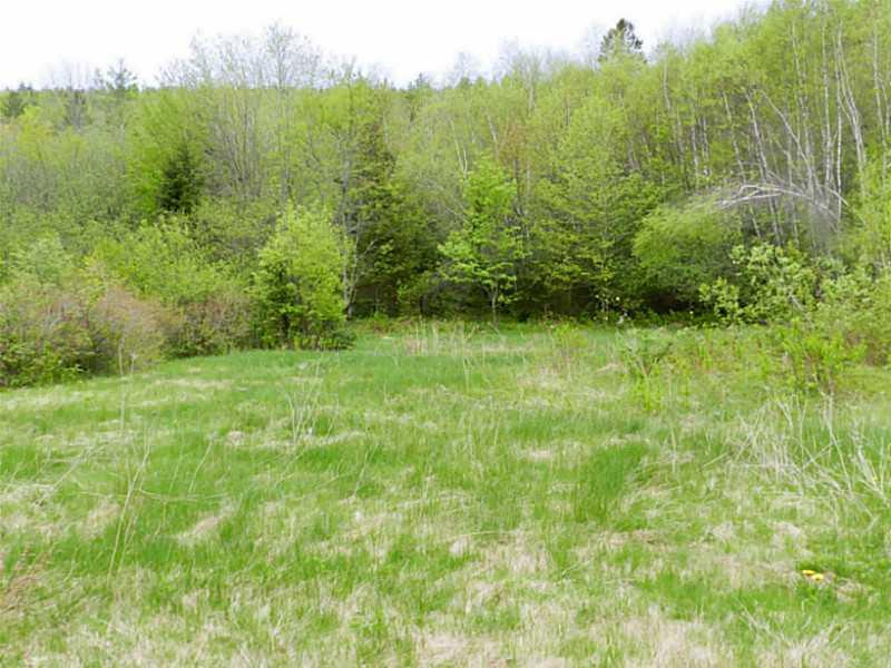 746 Todds Corner Road St. Albans, ME 04971 - Photo 20 of 21 Land.