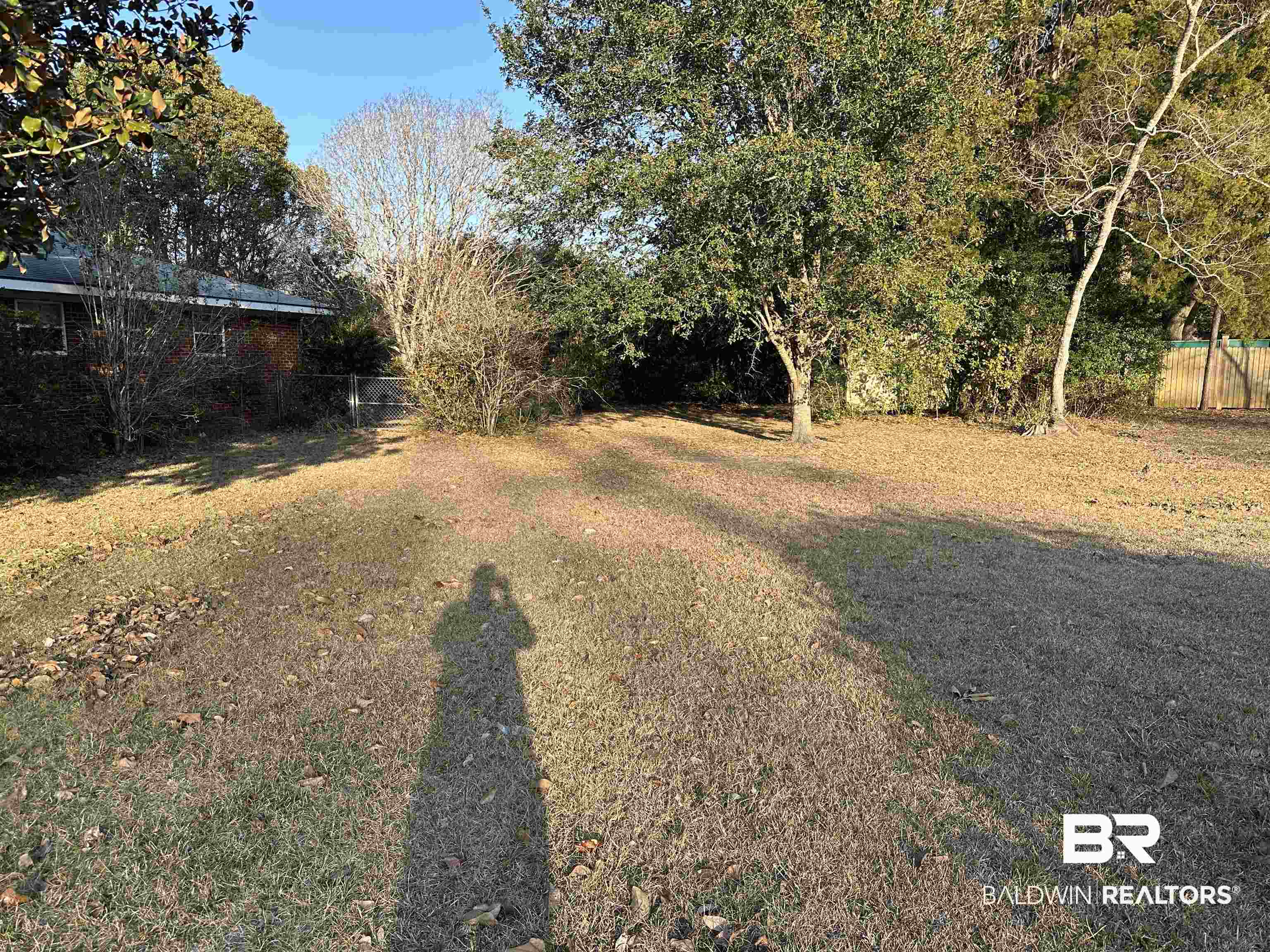 1 Yupon Circle Foley, AL 36535 - Photo 5 of 30 View of yard