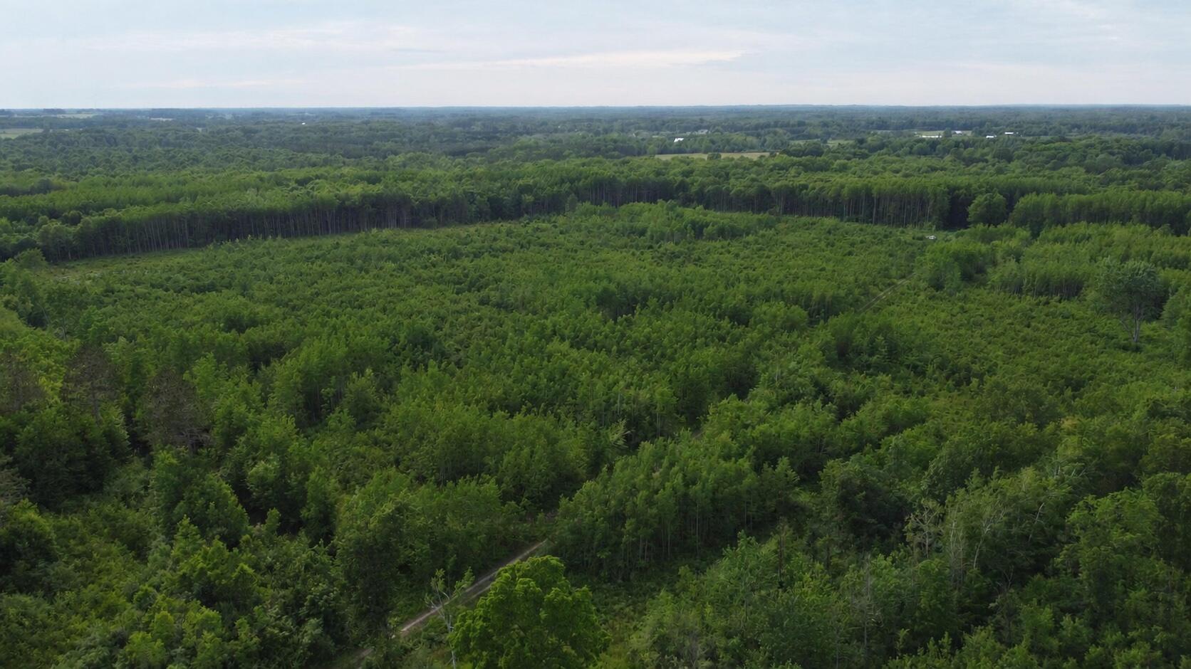 East Free Soil Road, Unit 40 Free Soil, MI 49411 - Photo 1 of 26 DJI202
