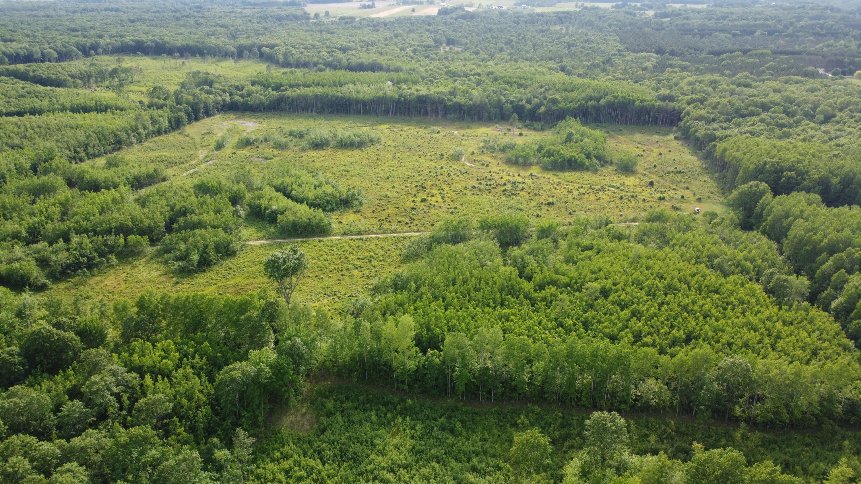 East Free Soil Road, Unit 40 Free Soil, MI 49411 - Photo 11 of 23 DJI_0204