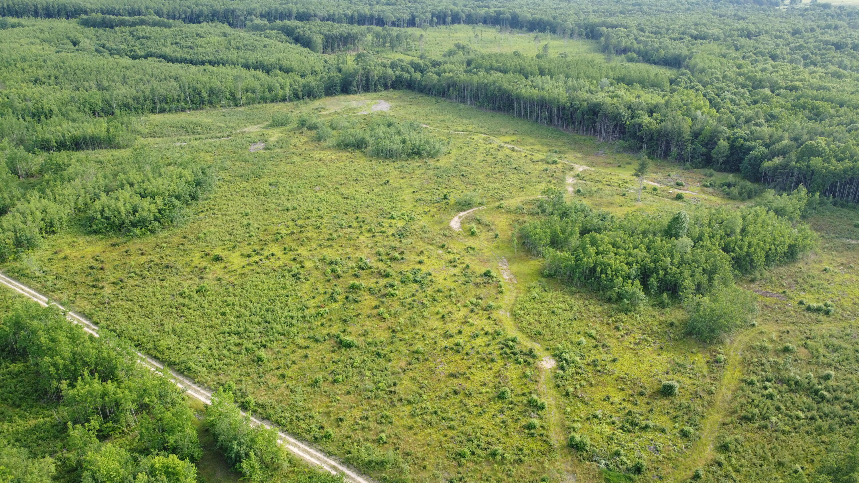 East Free Soil Road, Unit 40 Free Soil, MI 49411 - Photo 20 of 23 DJI_0213