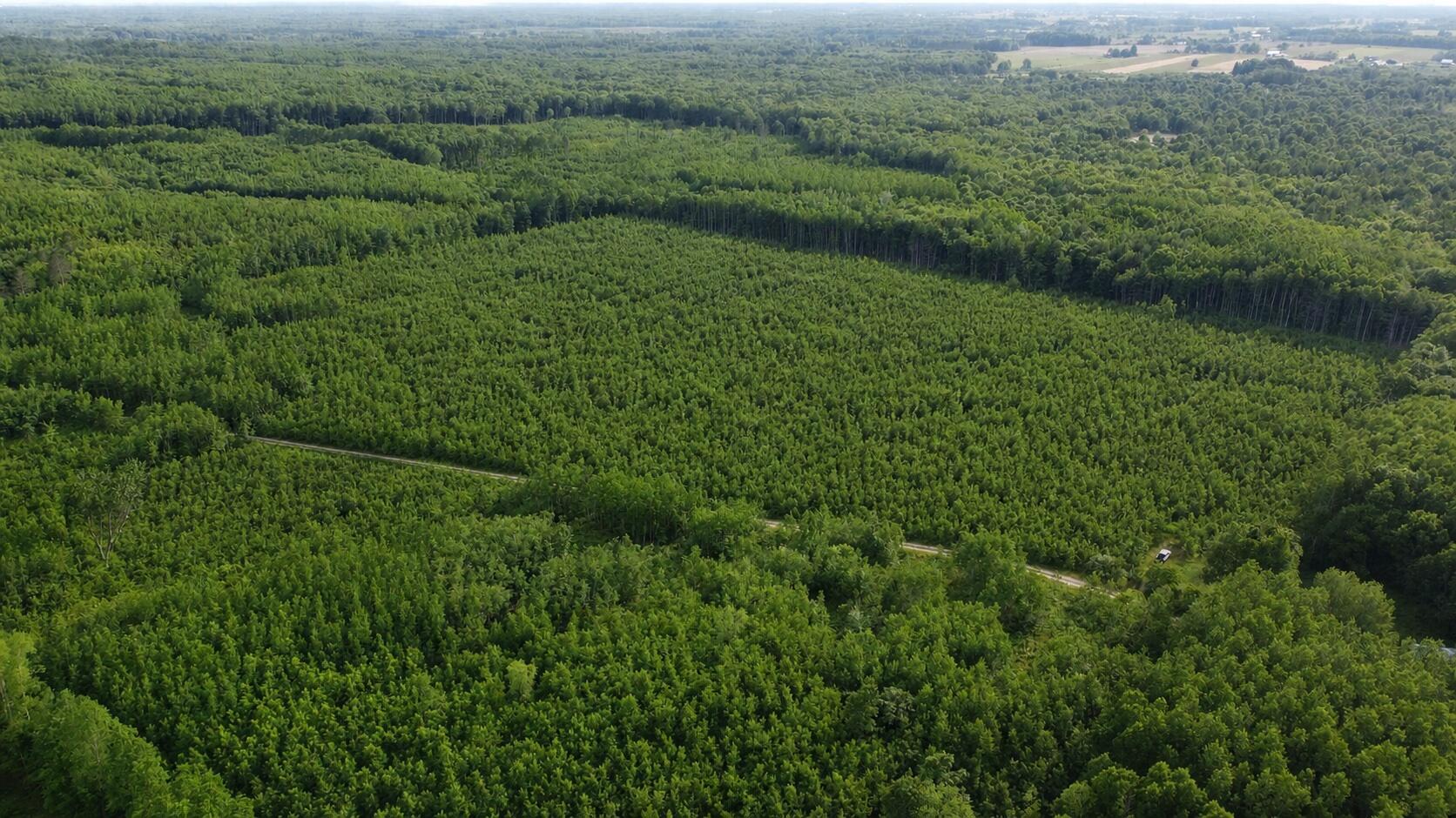 East Free Soil Road, Unit 40 Free Soil, MI 49411 - Photo 2 of 26 DJI208