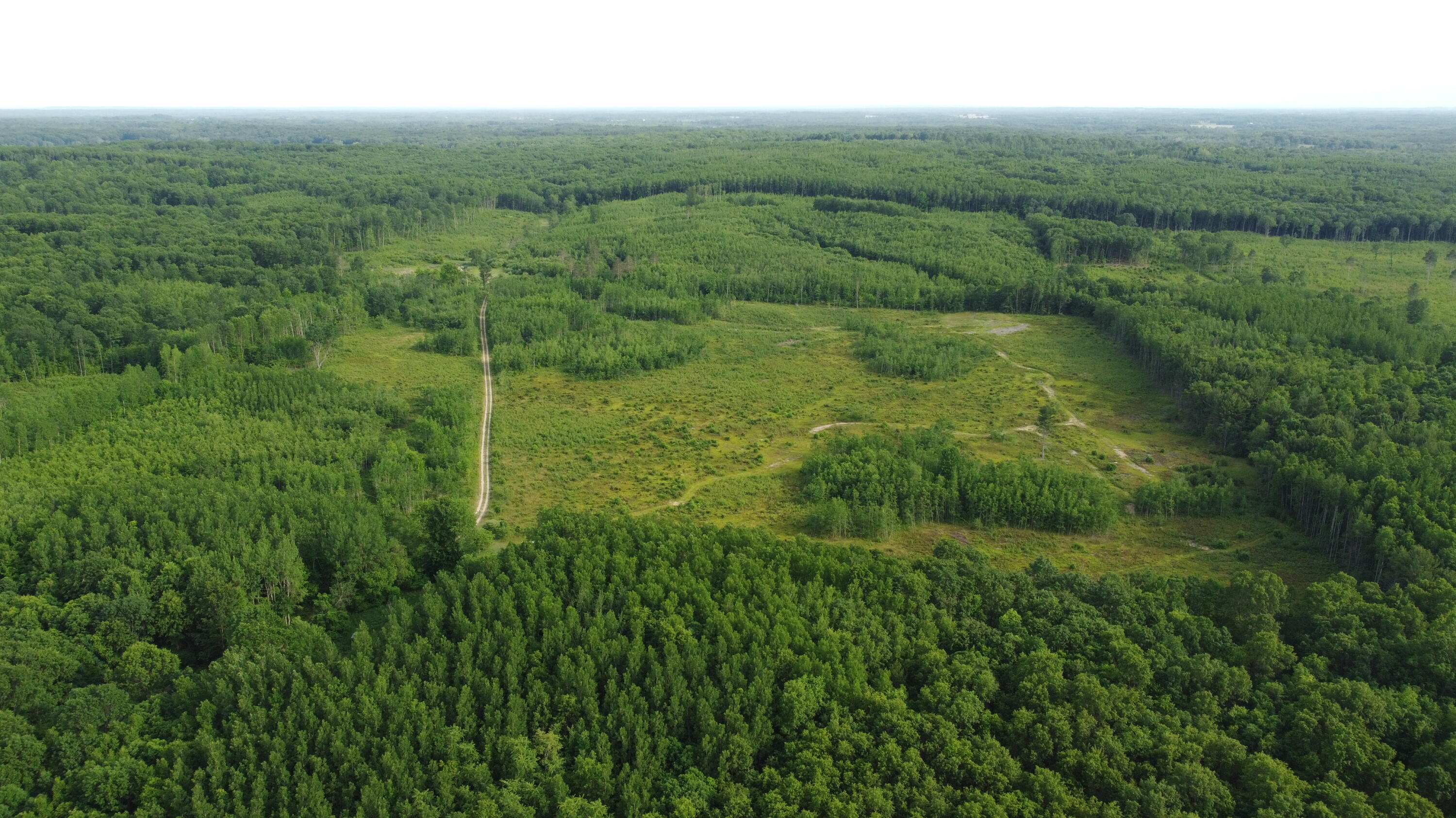 East Free Soil Road, Unit 40 Free Soil, MI 49411 - Photo 22 of 26 DJI_0212