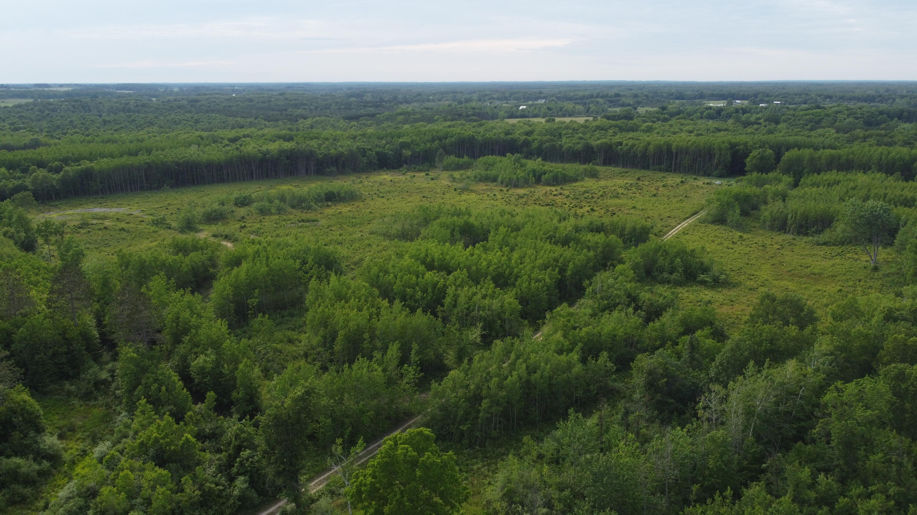 East Free Soil Road, Unit 40 Free Soil, MI 49411 - Photo 25 of 26 DJI_0216