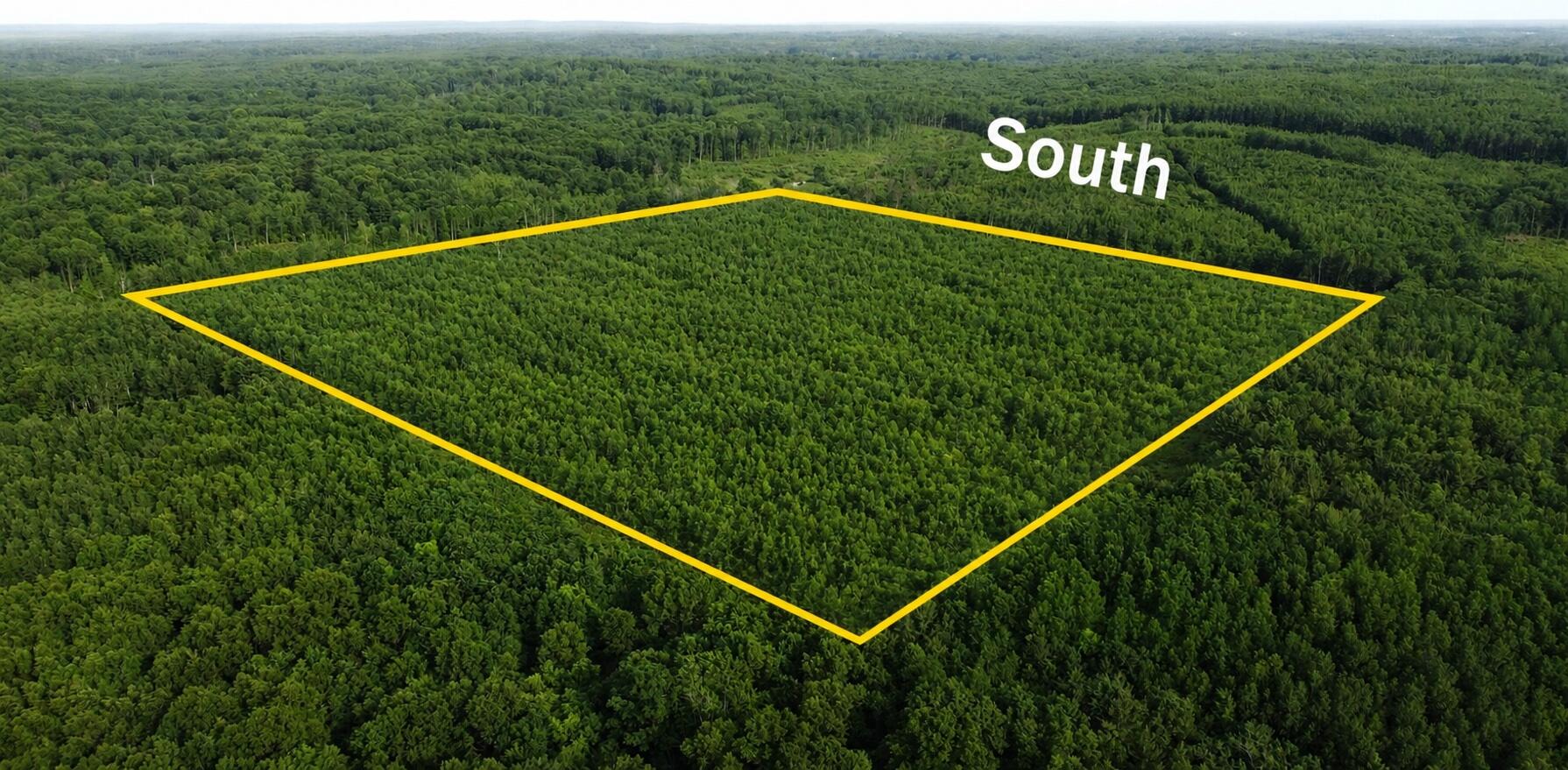 East Free Soil Road, Unit 40 Free Soil, MI 49411 - Photo 3 of 26 south