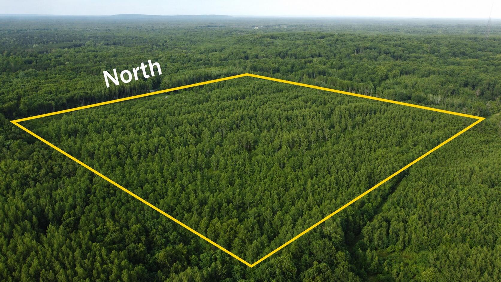 East Free Soil Road, Unit 40 Free Soil, MI 49411 - Photo 4 of 26 DJI209
