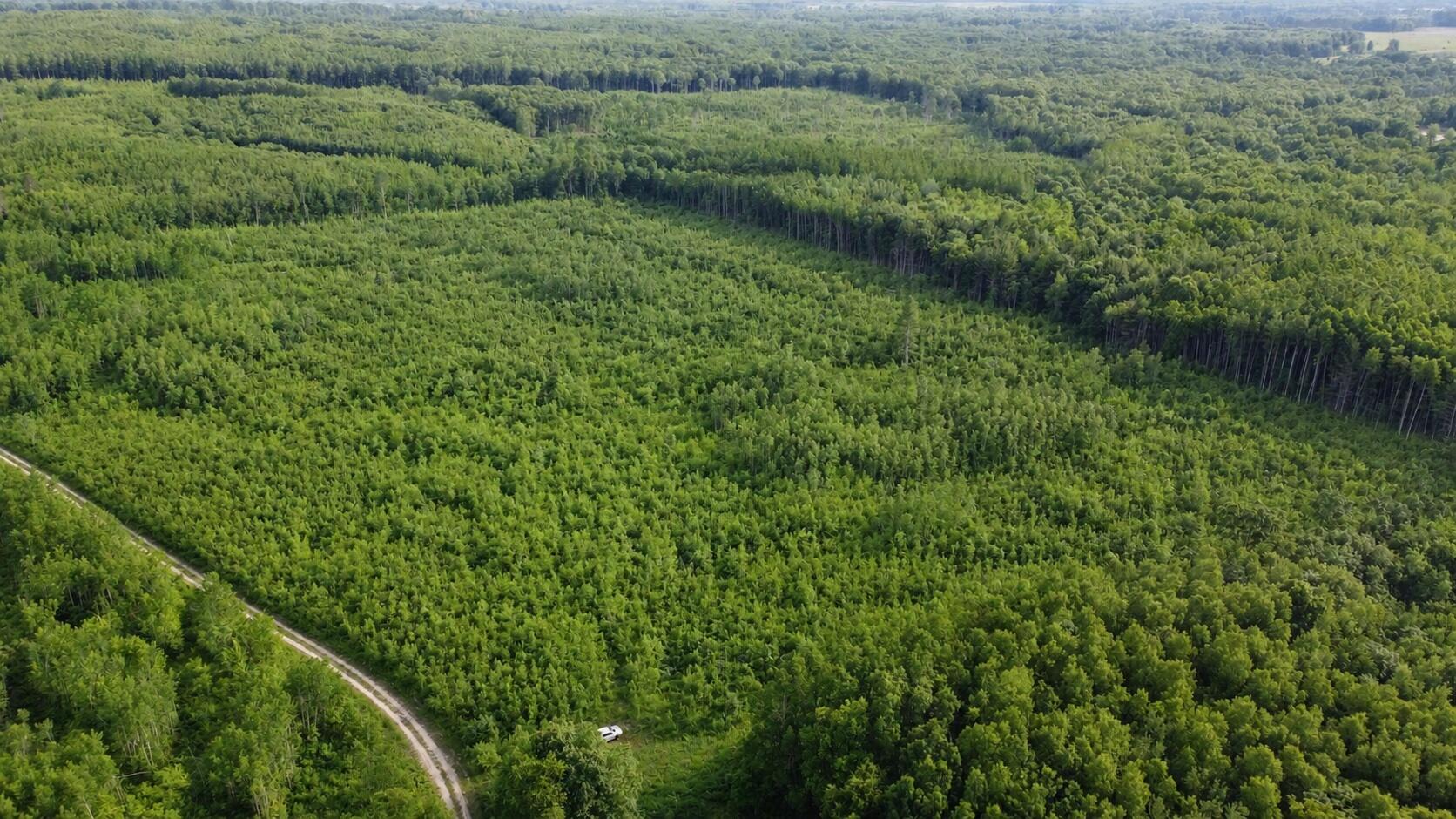 East Free Soil Road, Unit 40 Free Soil, MI 49411 - Photo 5 of 26 DJI210