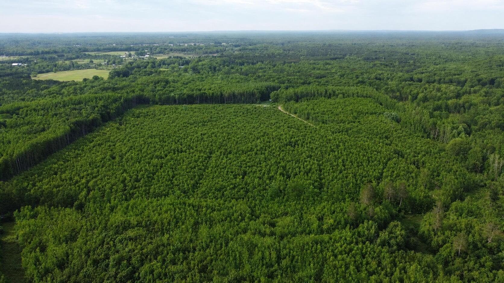 East Free Soil Road, Unit 40 Free Soil, MI 49411 - Photo 6 of 26 DJI211
