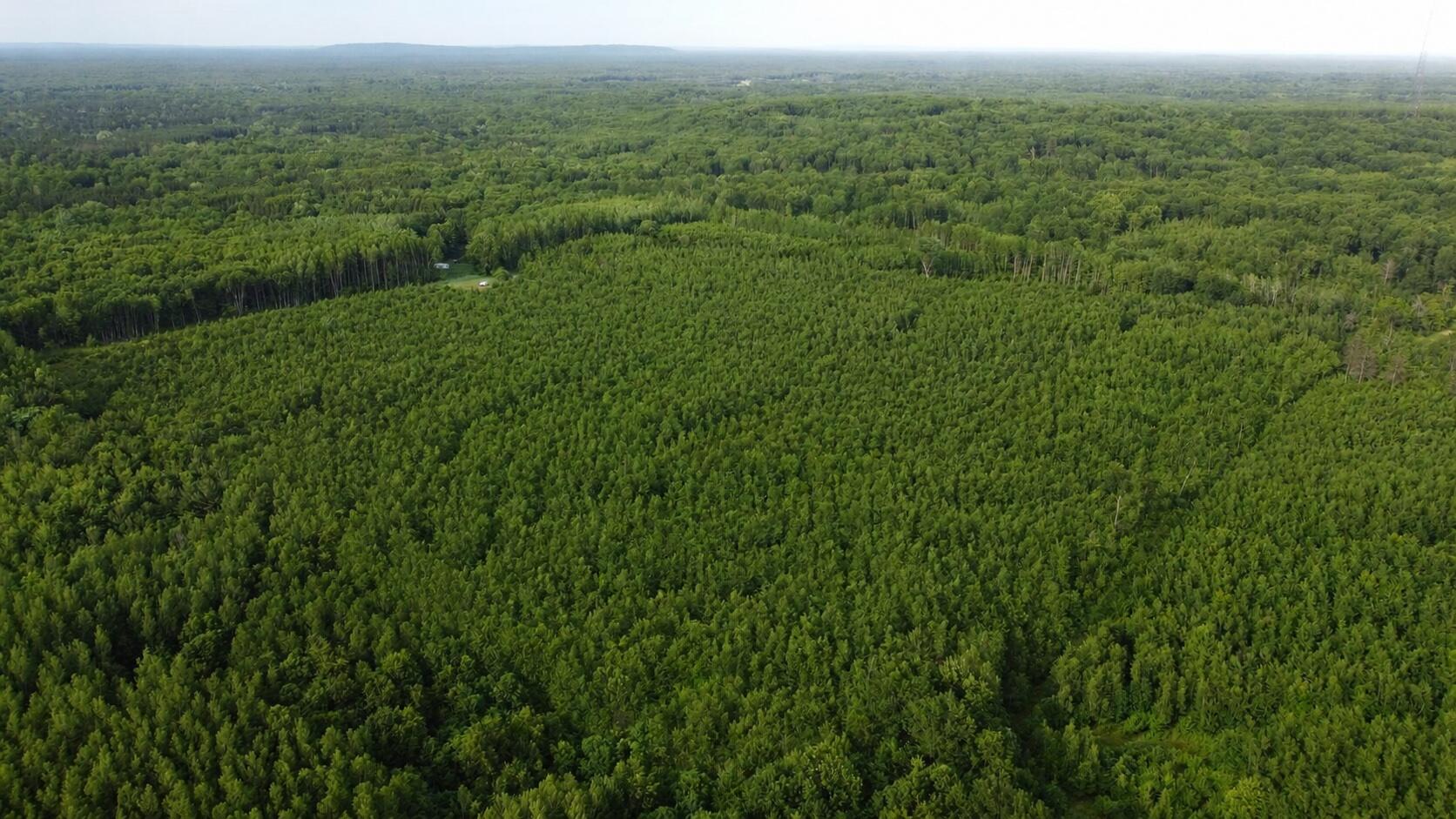 East Free Soil Road, Unit 40 Free Soil, MI 49411 - Photo 7 of 26 DJI212