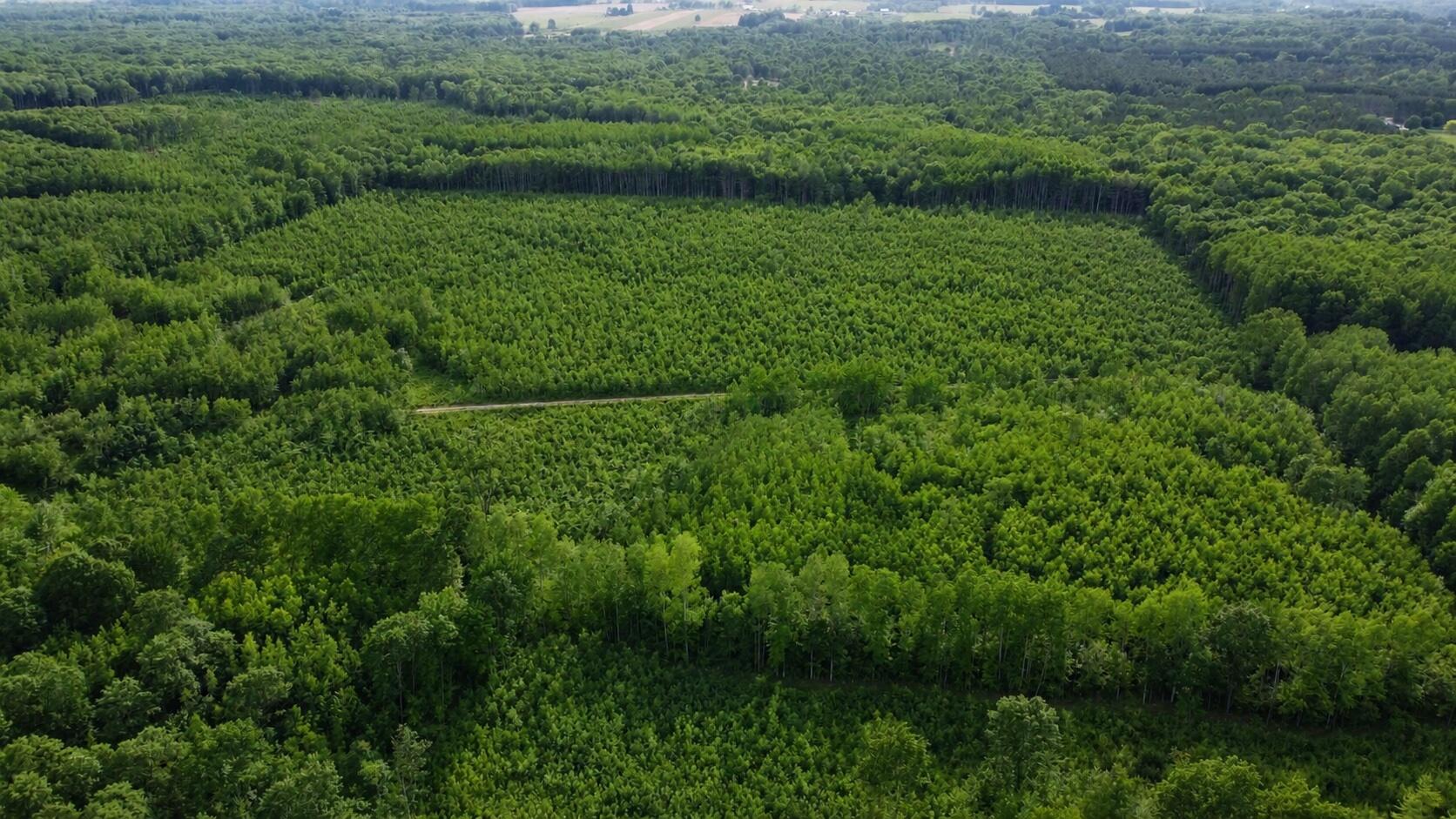 East Free Soil Road, Unit 40 Free Soil, MI 49411 - Photo 8 of 26 DJI213