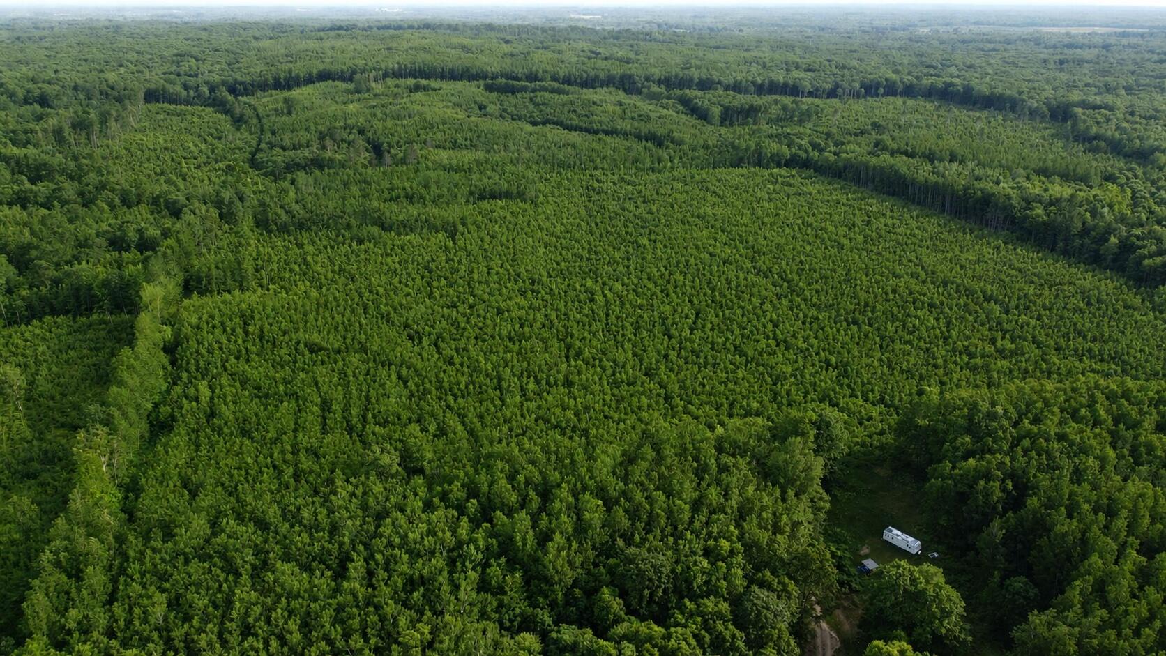 East Free Soil Road, Unit 40 Free Soil, MI 49411 - Photo 9 of 26 DJI213