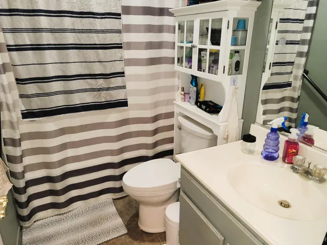 a bathroom with a sink and a toilet