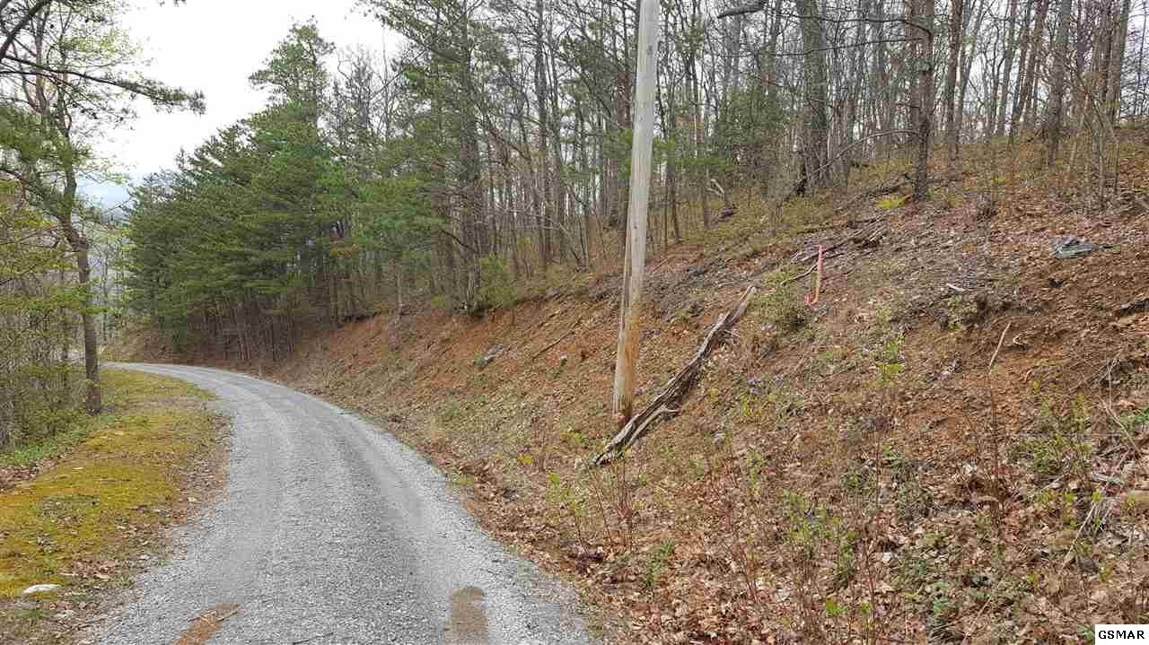 21 Cove Mountain Road Sevierville, TN 37862 - Photo 17 of 21 Gallery Image 17
