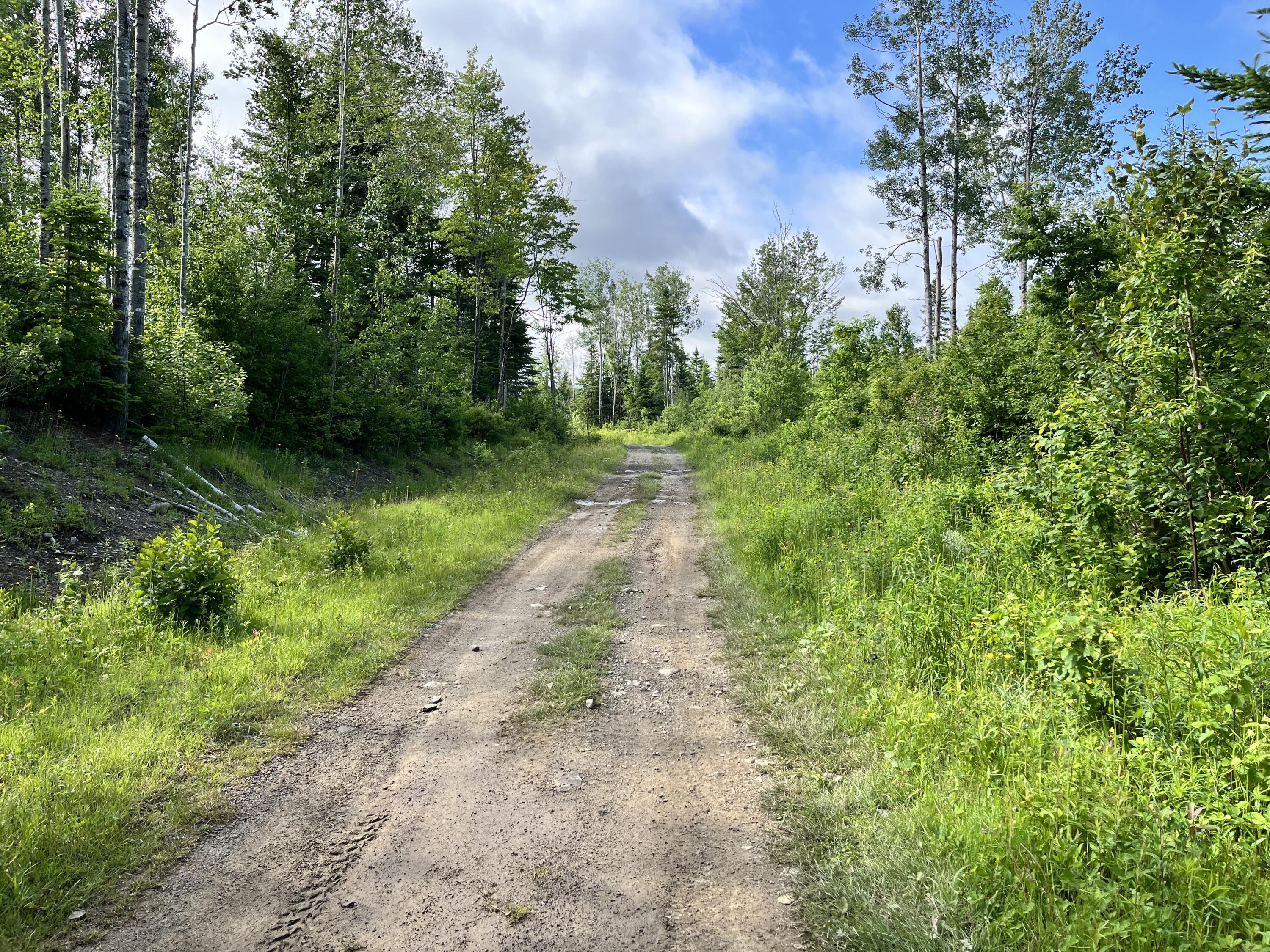 140 Mountain Road Presque Isle, ME 04769 - Photo 3 of 10 IMG-0327
