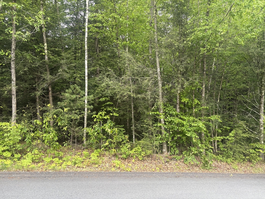 0 Gray Road Templeton, MA 01468 - Photo 3 of 4