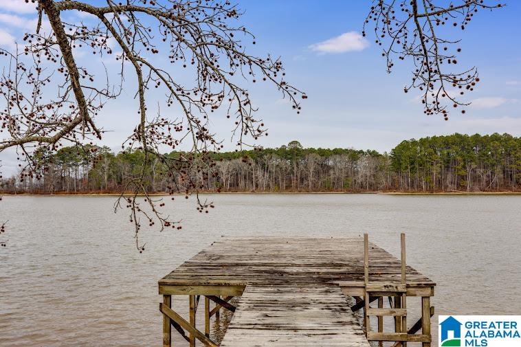 0 County Road 1004, Unit 10 Centre, AL 35960 - Photo 28 of 33