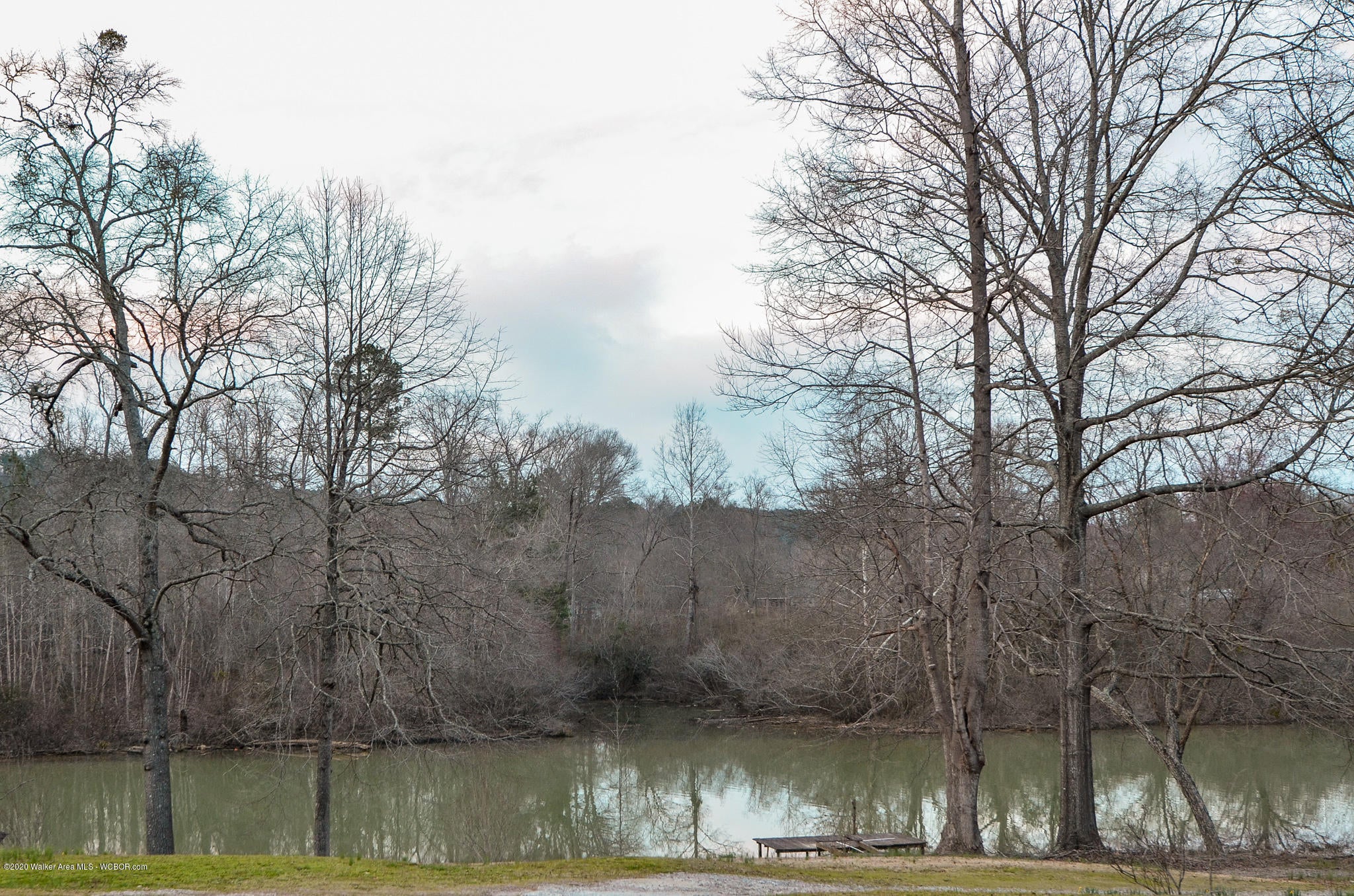 Gross Road Parrish, AL 35580 - Photo 1 of 7 Gallery Image 1