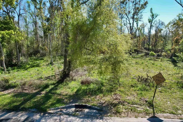 $18,000 | Southeast Stephens Avenue, Madison, FL 32340
