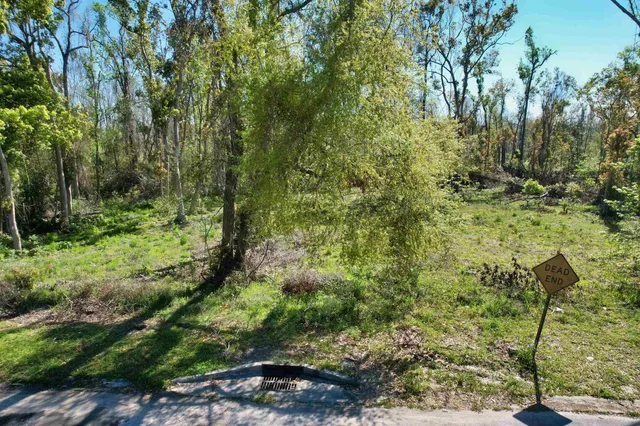 $18,000 | Southeast Stephens Avenue, Madison, FL 32340