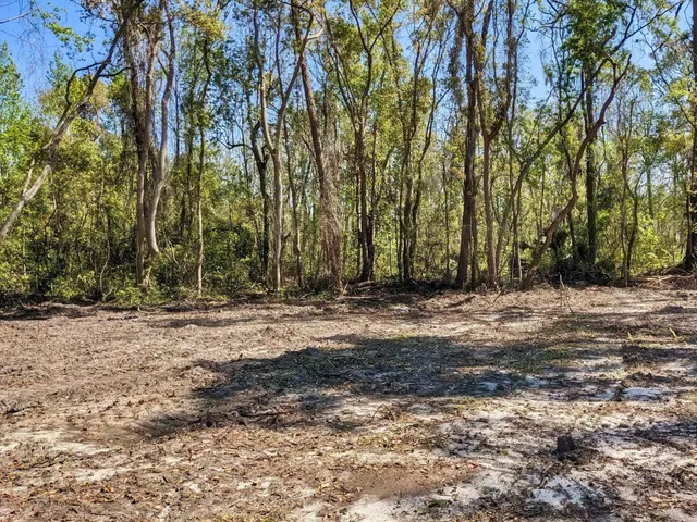 $18,000 | Southeast Stephens Avenue, Madison, FL 32340