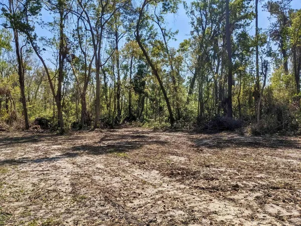$18,000 | Southeast Stephens Avenue, Madison, FL 32340