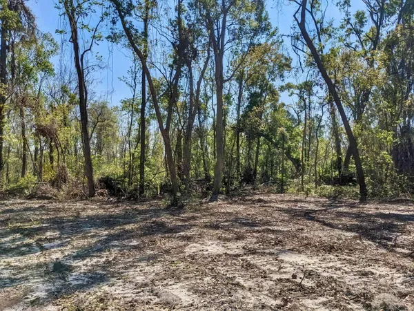 $18,000 | Southeast Stephens Avenue, Madison, FL 32340