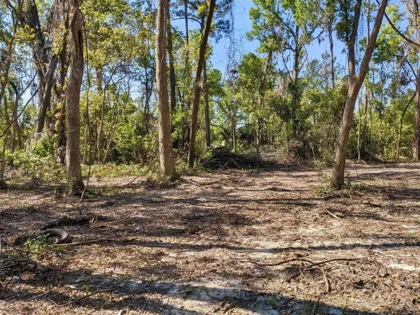 $18,000 | Southeast Stephens Avenue, Madison, FL 32340