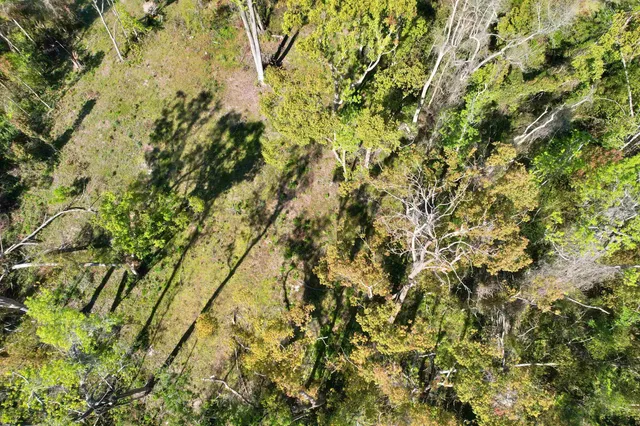 $18,000 | Southeast Stephens Avenue, Madison, FL 32340