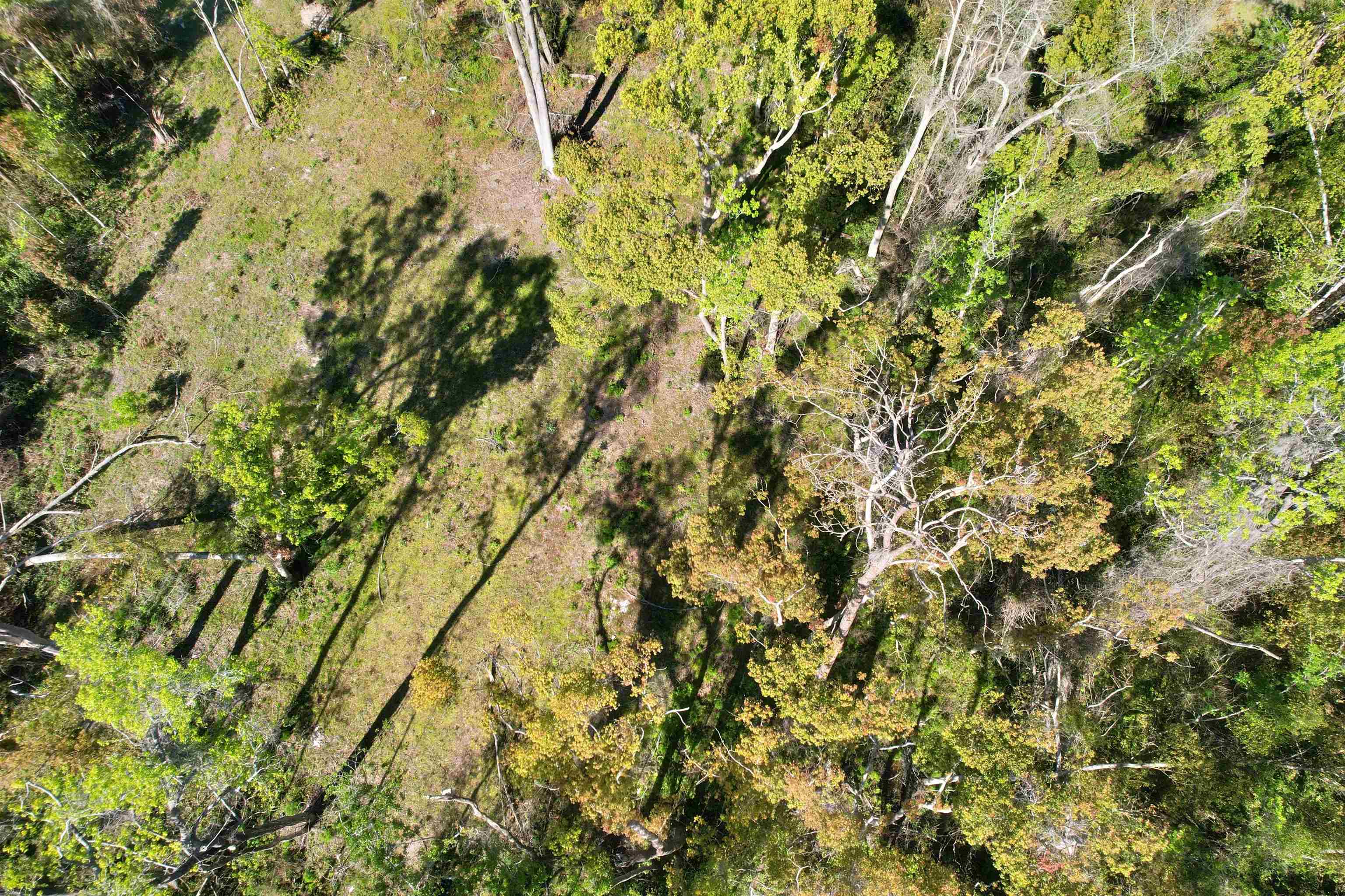 Southeast Stephens Avenue Madison, FL 32340 - Photo 2 of 18