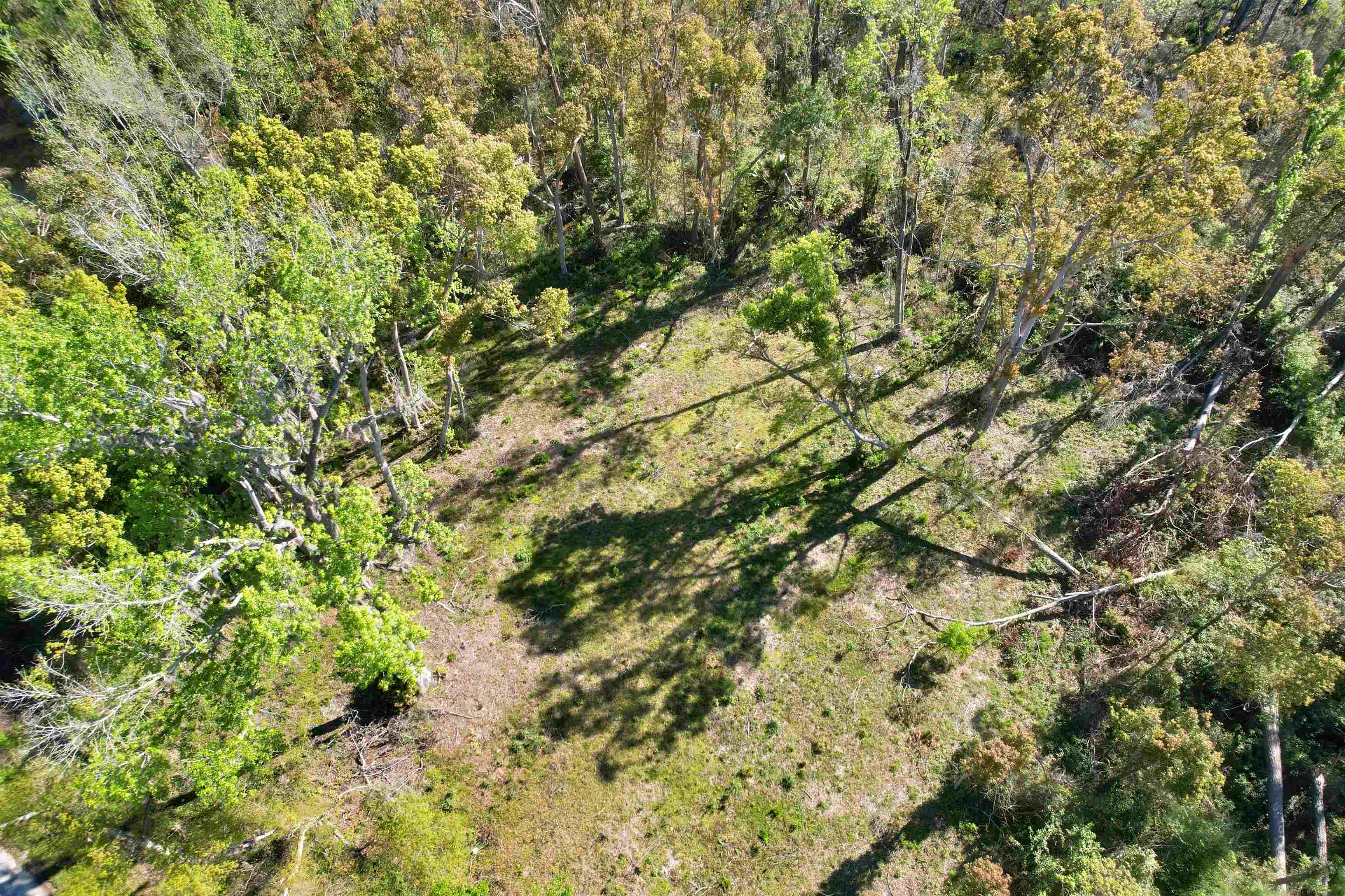 Southeast Stephens Avenue Madison, FL 32340 - Photo 4 of 18