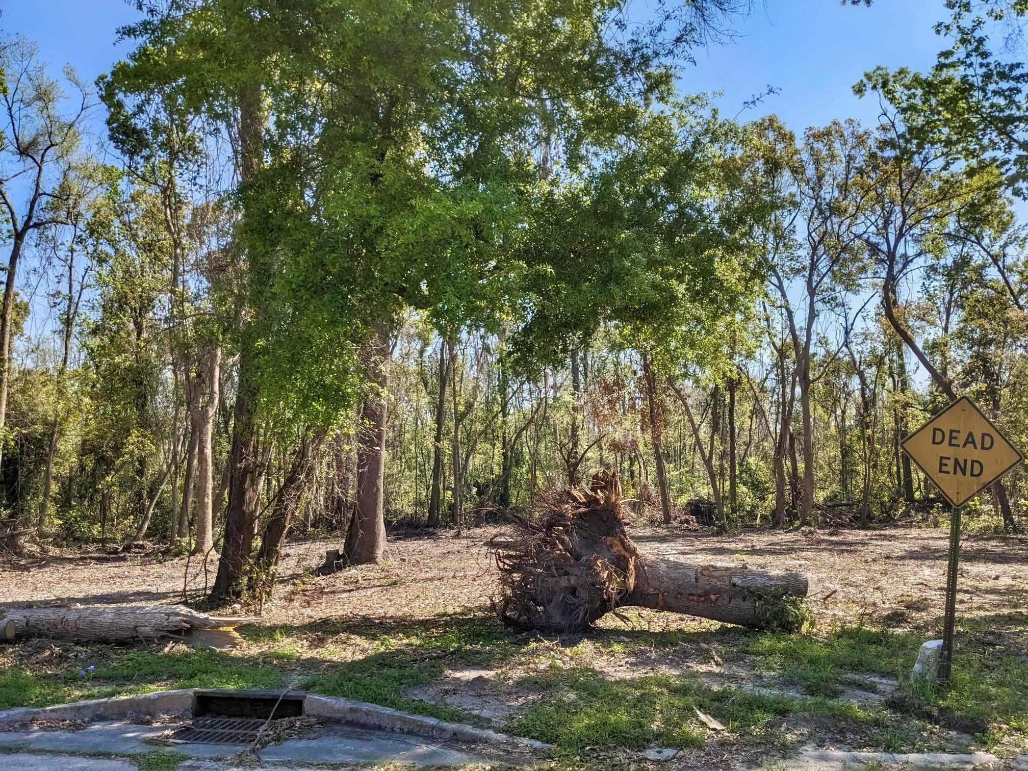 Southeast Stephens Avenue Madison, FL 32340 - Photo 6 of 18