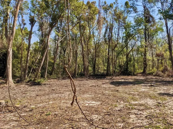 $18,000 | Southeast Stephens Avenue, Madison, FL 32340