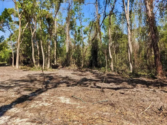 $18,000 | Southeast Stephens Avenue, Madison, FL 32340