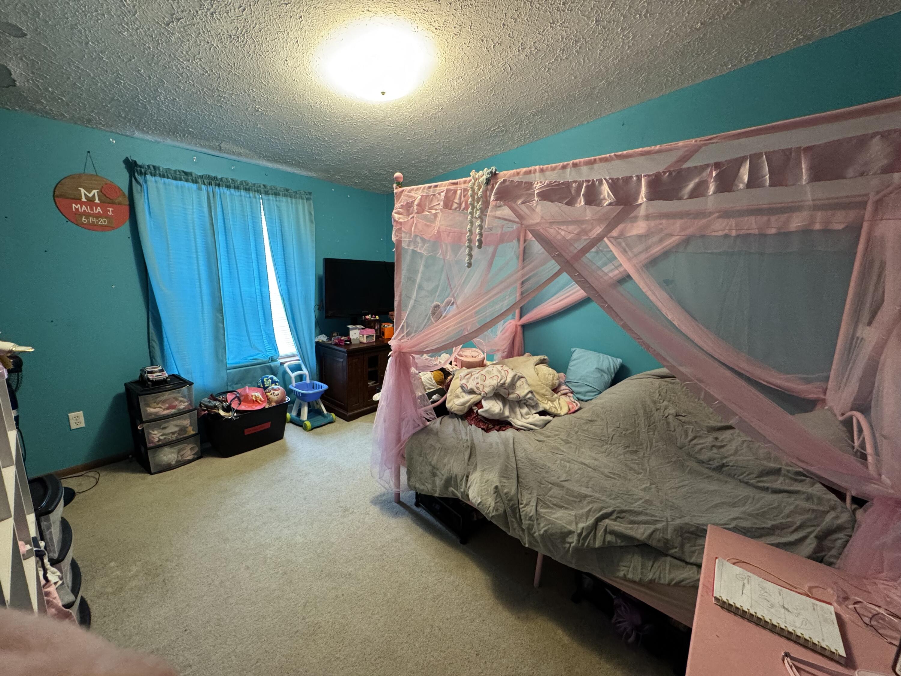 125 Coxon Street Concord, MI 49237 - Photo 12 of 21 IMG_3892