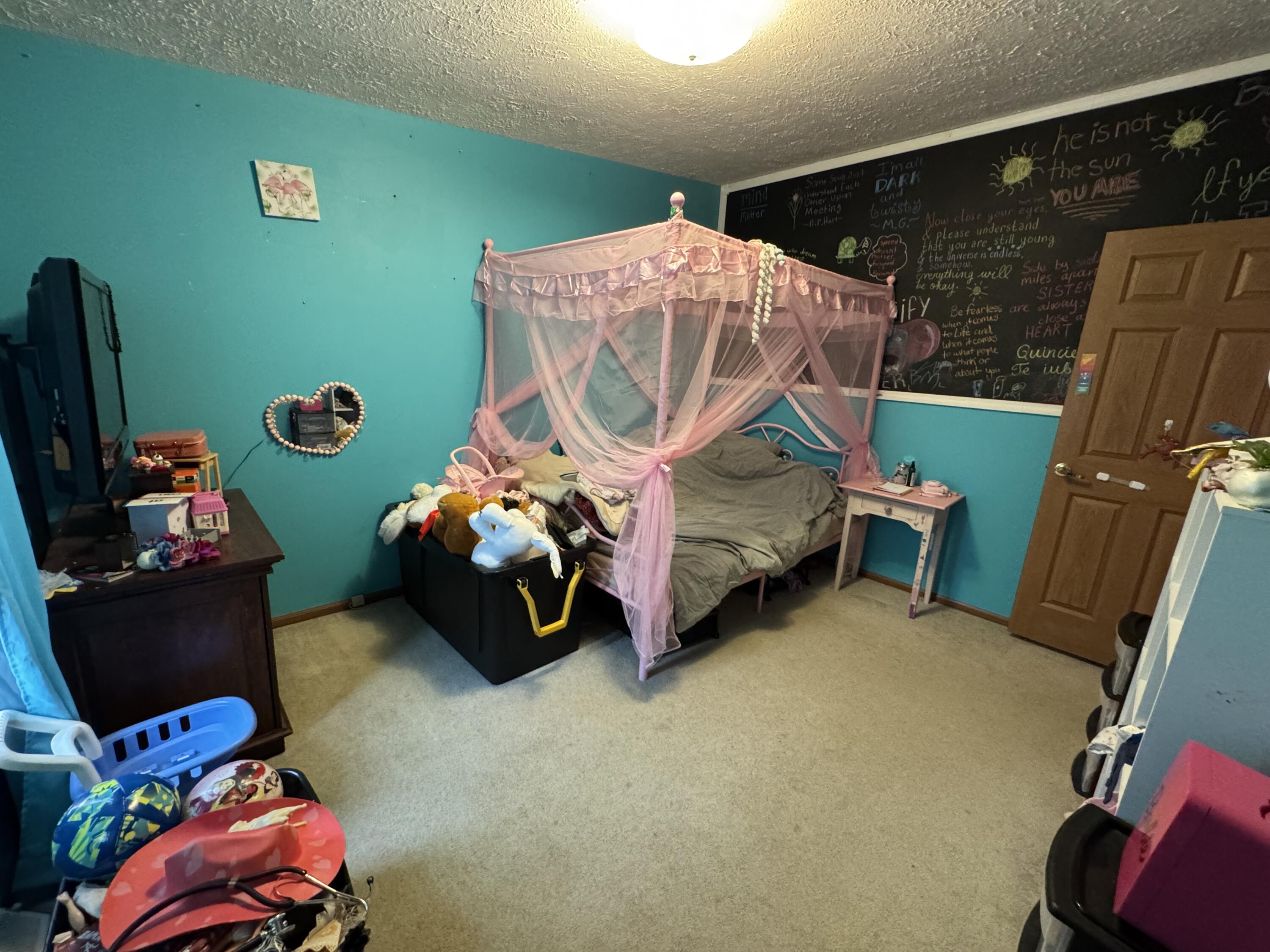 125 Coxon Street Concord, MI 49237 - Photo 13 of 21 IMG_3894